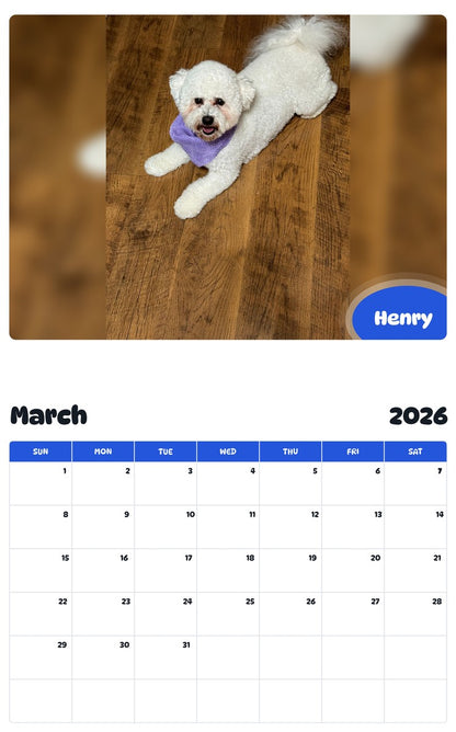 November 2025 - October 2026 Henry - Pawidols Pet Calendar