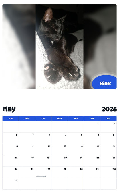 2026 - 2027 Binx - Pawidols Pet Calendar