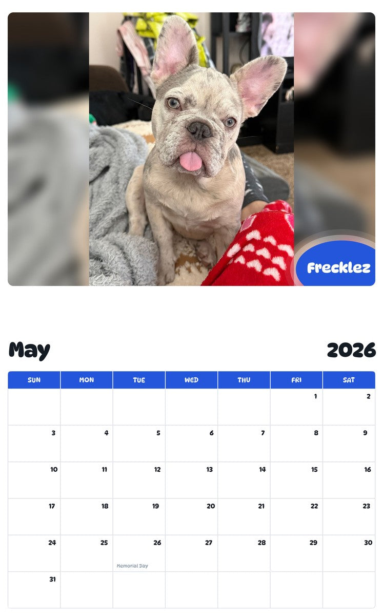 2026 - 2027 Frecklez - Pawidols Pet Calendar