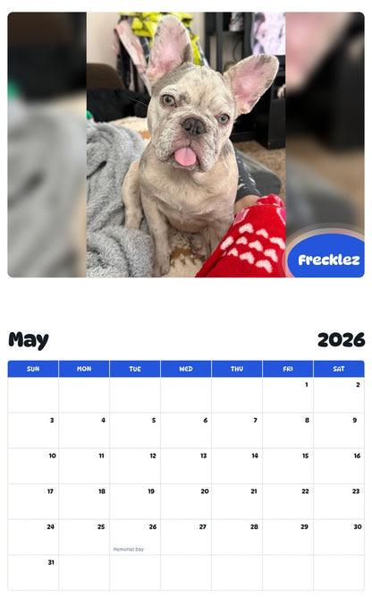 2026 - 2027 Frecklez - Pawidols Pet Calendar