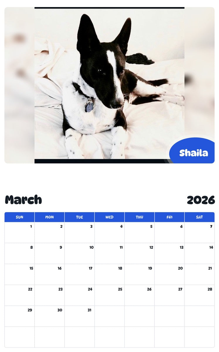 November 2025 - October 2026 Shaila - Pawidols Pet Calendar