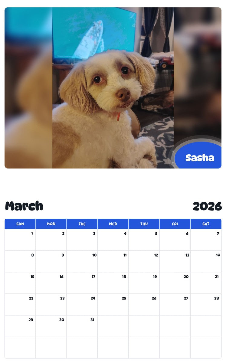 November 2025 - October 2026 Sasha - Pawidols Pet Calendar