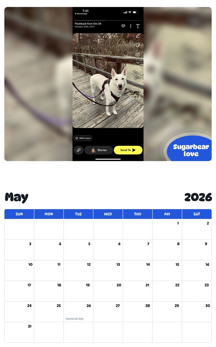2026 - 2027 Sugarbear love - Pawidols Pet Calendar