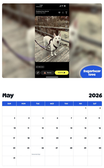 2026 - 2027 Sugarbear love - Pawidols Pet Calendar