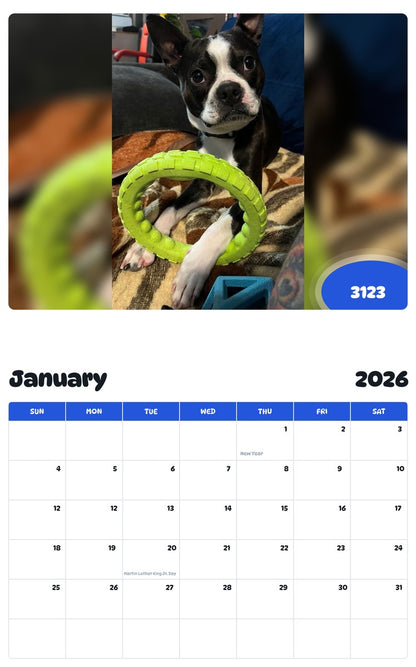 July 2025 - June 2026 3123 - Pawidols Pet Calendar