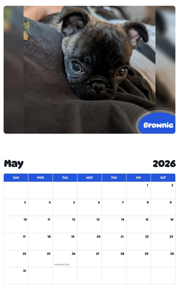 2026 - 2027 Brownie - Pawidols Pet Calendar