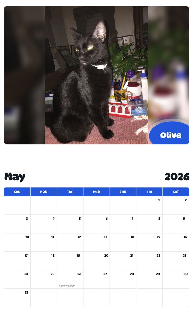 2026 - 2027 Olive - Pawidols Pet Calendar