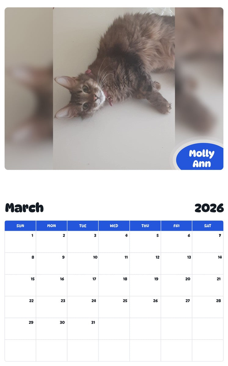 November 2025 - October 2026 Molly Ann - Pawidols Pet Calendar