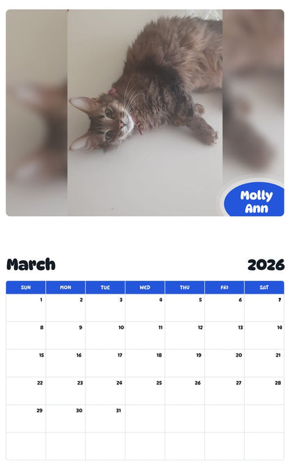 November 2025 - October 2026 Molly Ann - Pawidols Pet Calendar