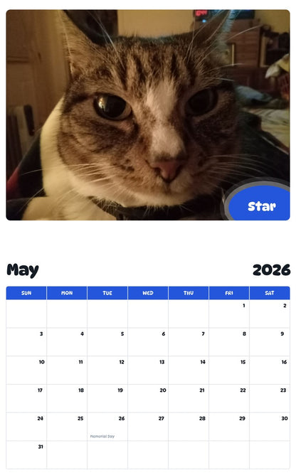 2026 - 2027 Star - Pawidols Pet Calendar