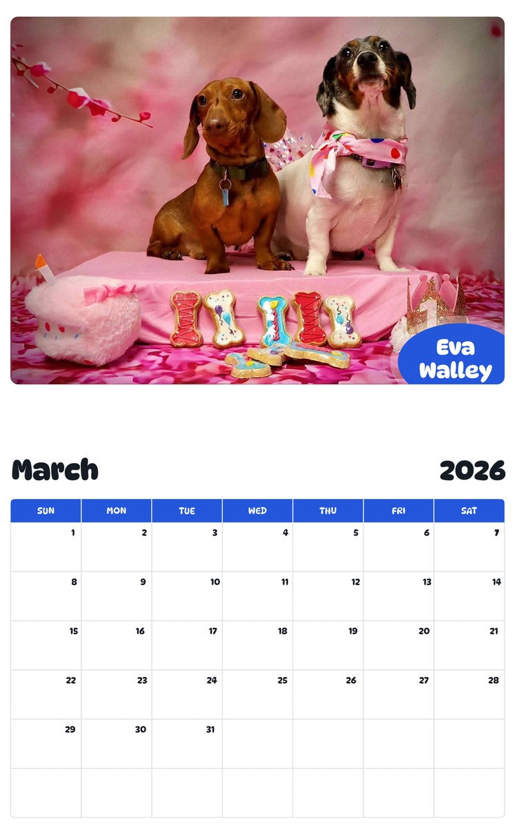 November 2025 - October 2026 Eva Walley - Pawidols Pet Calendar