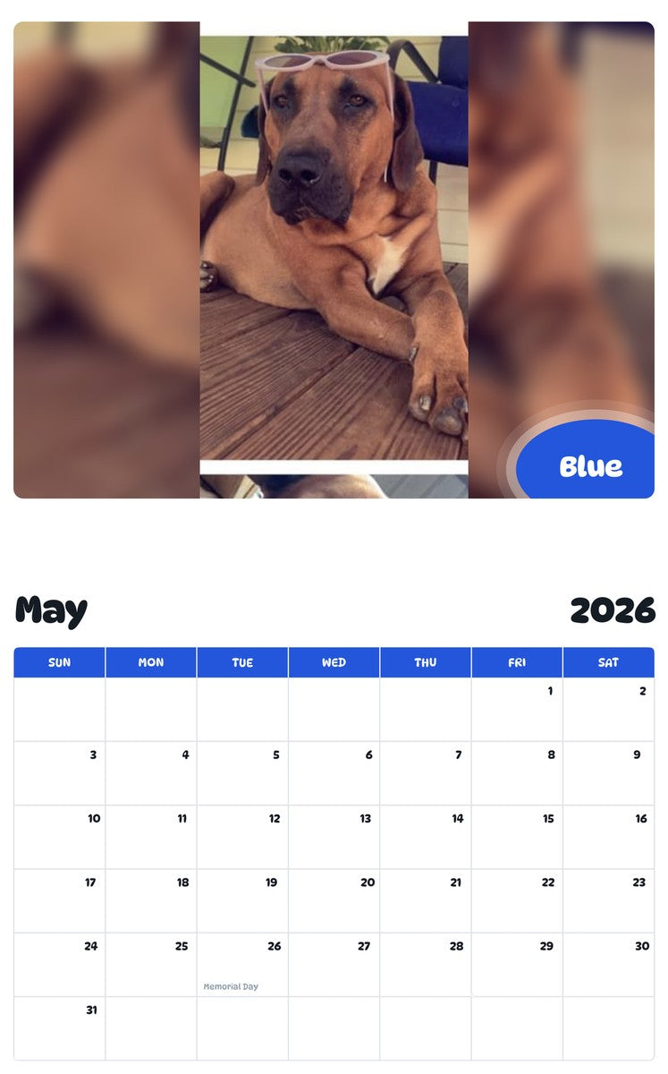 2026 - 2027 Blue - Pawidols Pet Calendar