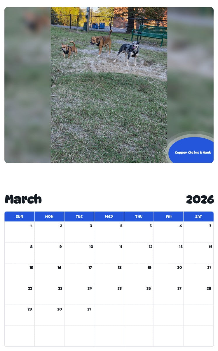November 2025 - October 2026 Copper, Cletus & Hank - Pawidols Pet Calendar