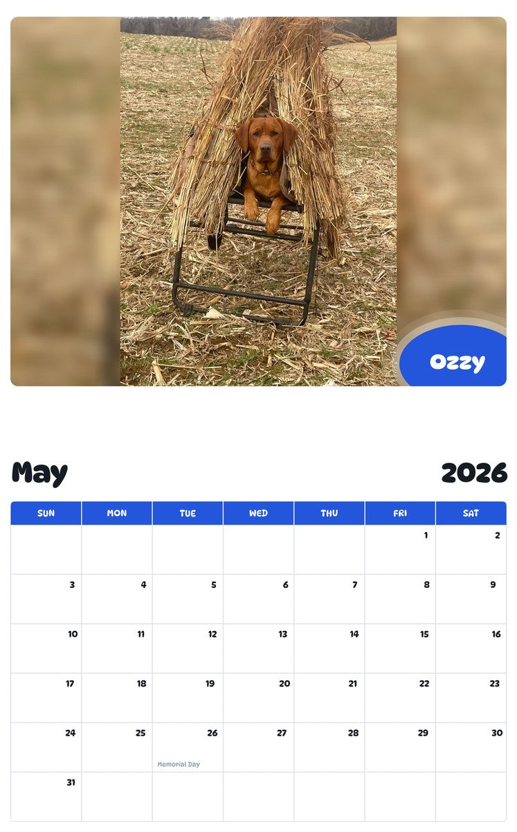 2026 - 2027 Ozzy - Pawidols Pet Calendar