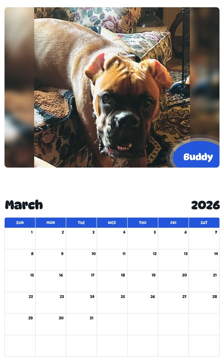 November 2025 - October 2026 Buddy - Pawidols Pet Calendar