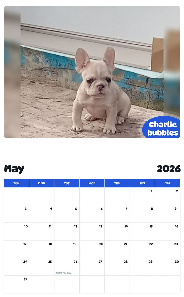 2026 - 2027 Charlie bubbles - Pawidols Pet Calendar