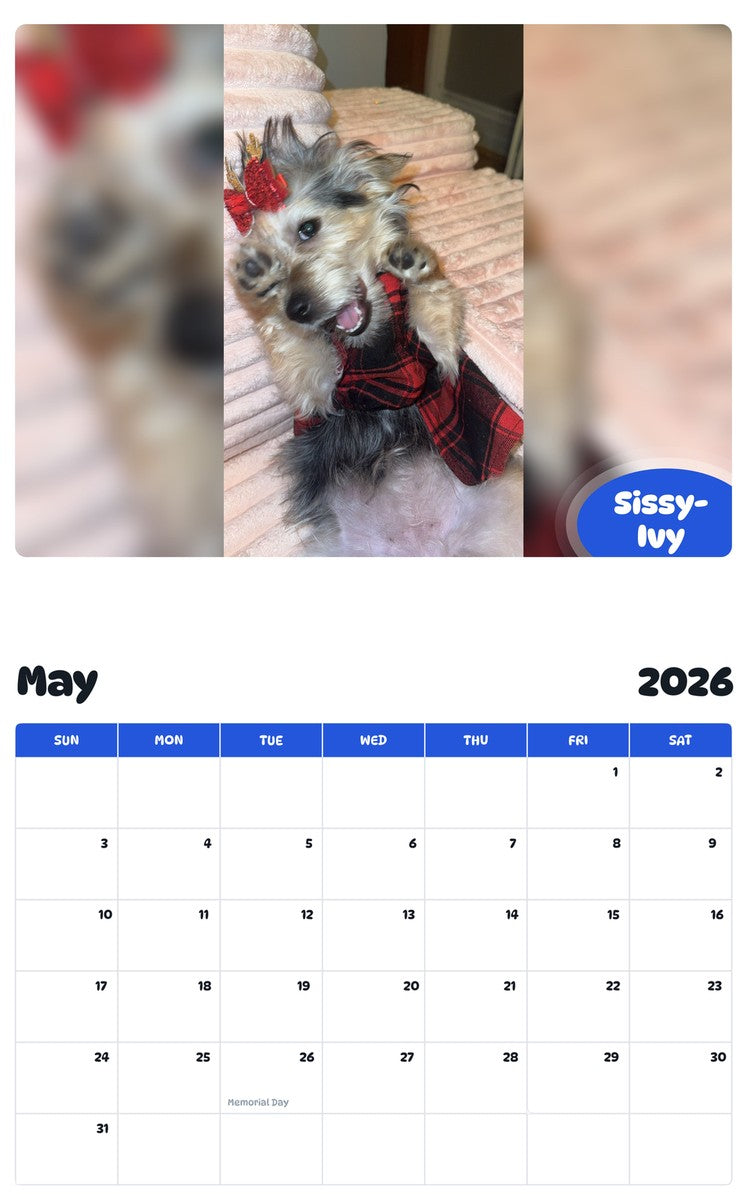 2026 - 2027 Sissy-Ivy - Pawidols Pet Calendar