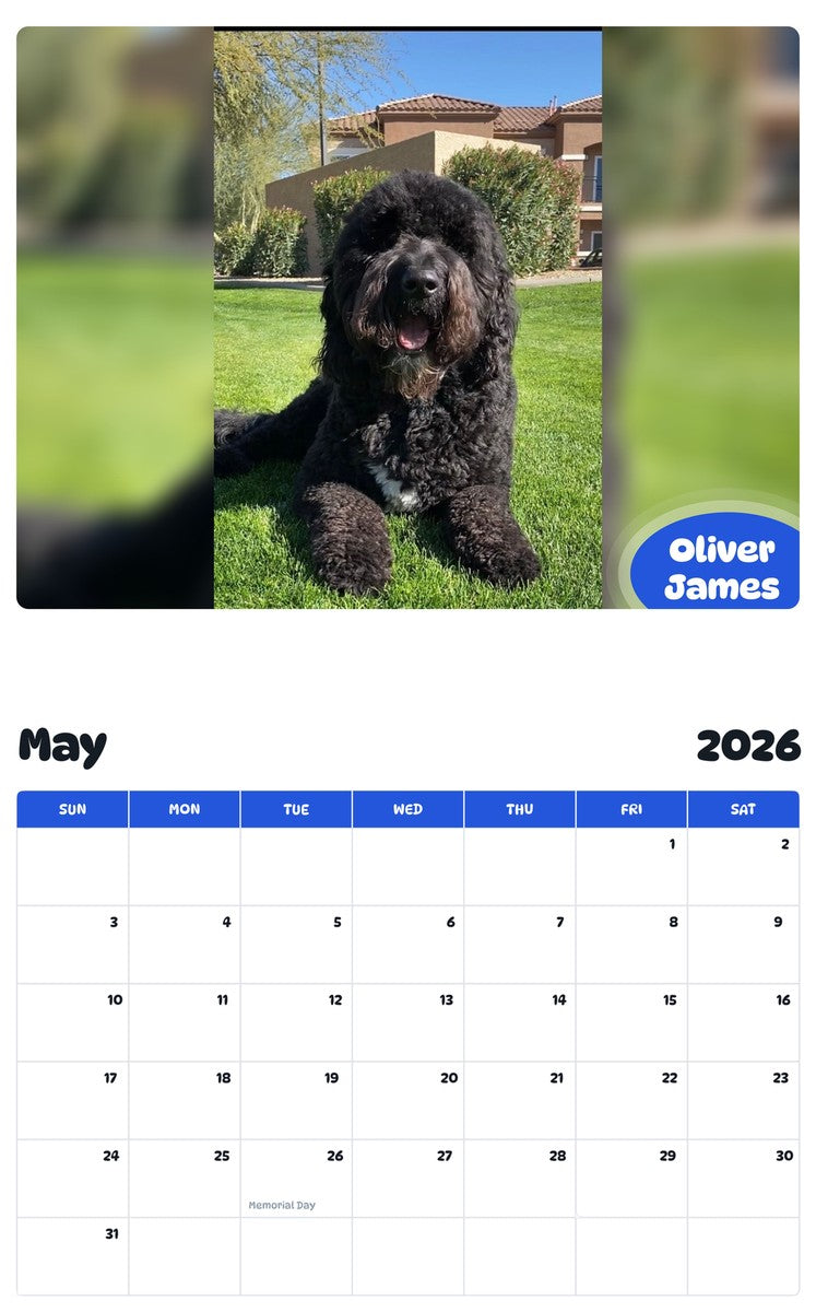 2026 - 2027 Oliver James - Pawidols Pet Calendar