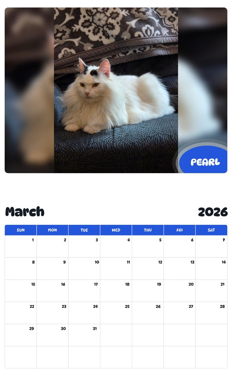 November 2025 - October 2026 PEARL - Pawidols Pet Calendar