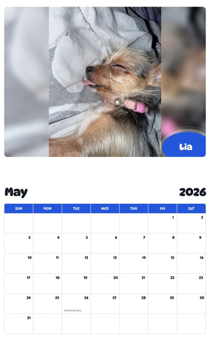 2026 - 2027 Lia - Pawidols Pet Calendar