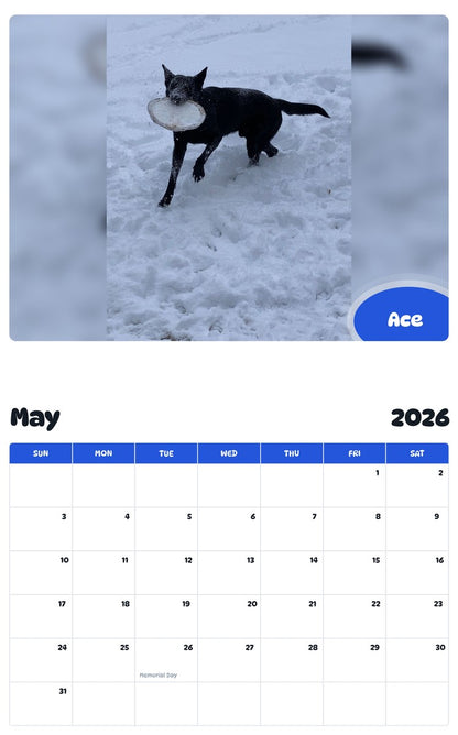 2026 - 2027 Ace - Pawidols Pet Calendar