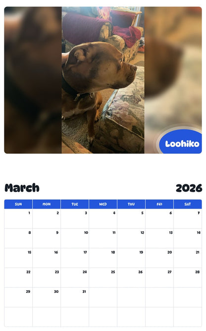 November 2025 - October 2026 Loohiko - Pawidols Pet Calendar