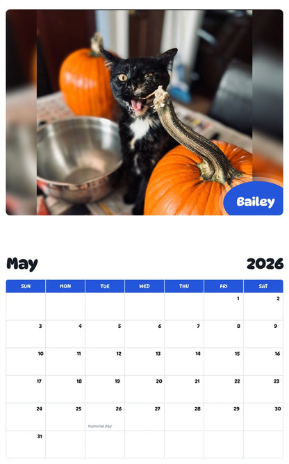2026 - 2027 Bailey - Pawidols Pet Calendar