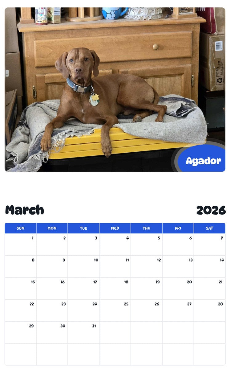 November 2025 - October 2026 Agador - Pawidols Pet Calendar