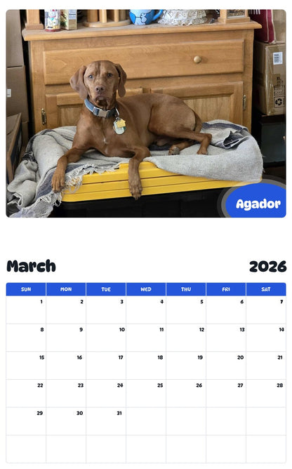 November 2025 - October 2026 Agador - Pawidols Pet Calendar