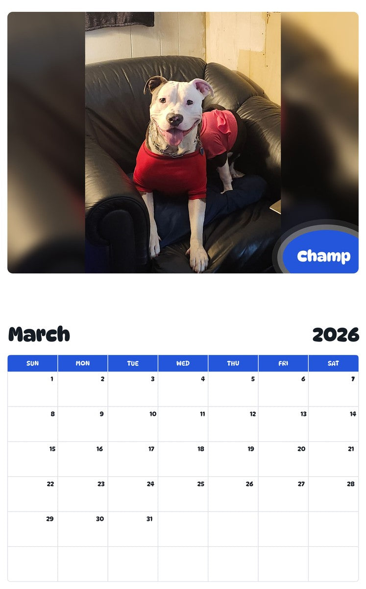 November 2025 - October 2026 Champ - Pawidols Pet Calendar