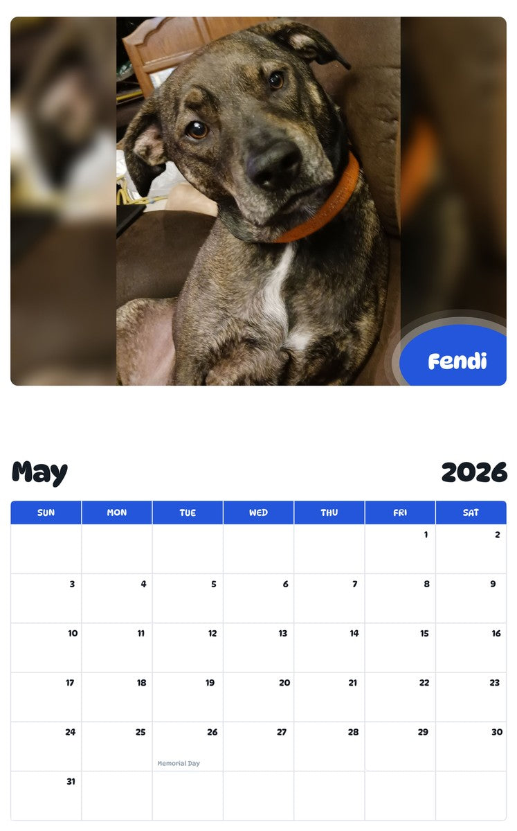 2026 - 2027 Fendi - Pawidols Pet Calendar