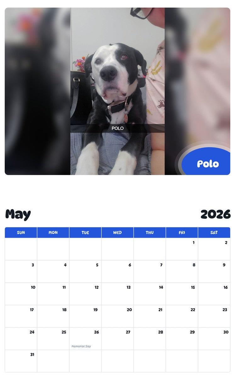 2026 - 2027 Polo - Pawidols Pet Calendar