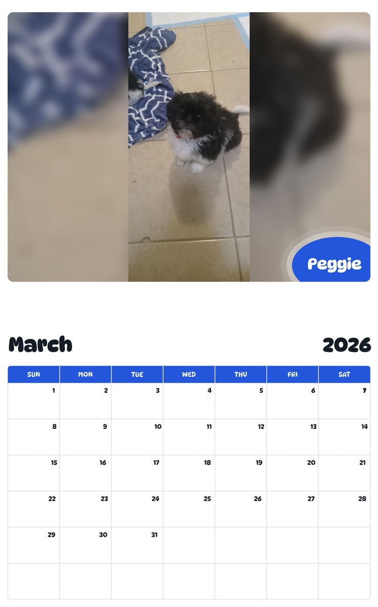 November 2025 - October 2026 Peggie - Pawidols Pet Calendar