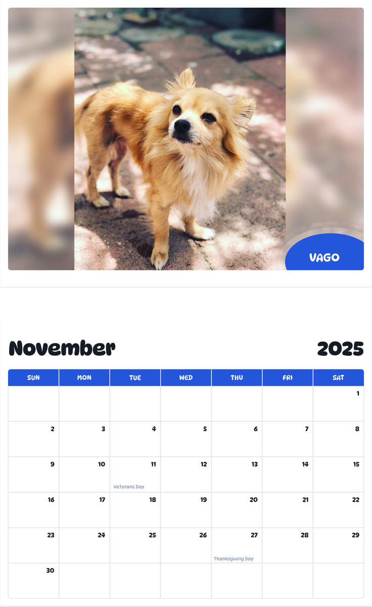 July 2025 - June 2026 Vago - Pawidols Pet Calendar