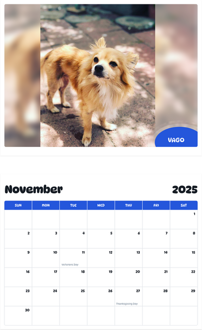 July 2025 - June 2026 Vago - Pawidols Pet Calendar