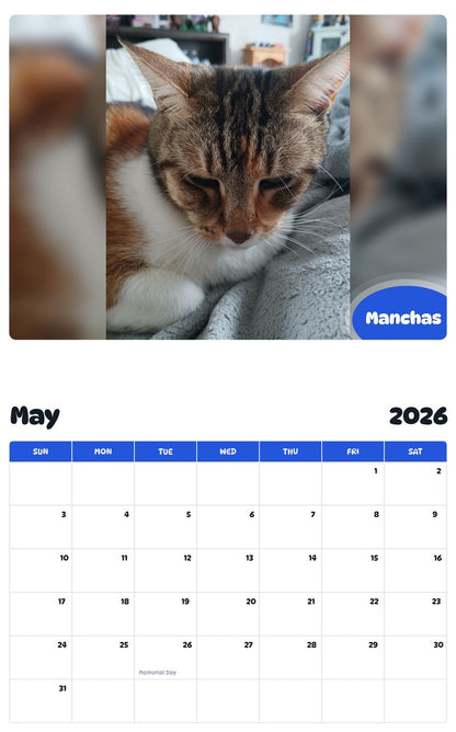 2026 - 2027 Manchas - Pawidols Pet Calendar