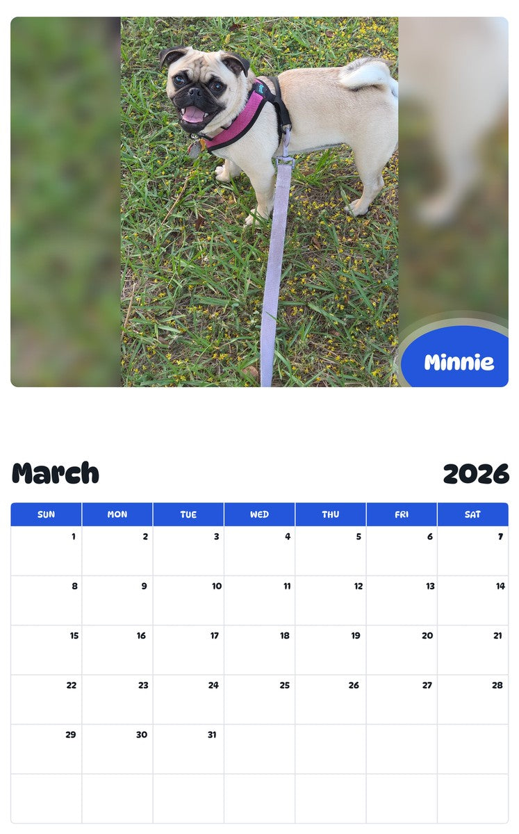 November 2025 - October 2026 Minnie - Pawidols Pet Calendar