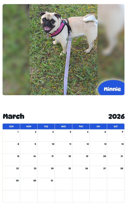 November 2025 - October 2026 Minnie - Pawidols Pet Calendar