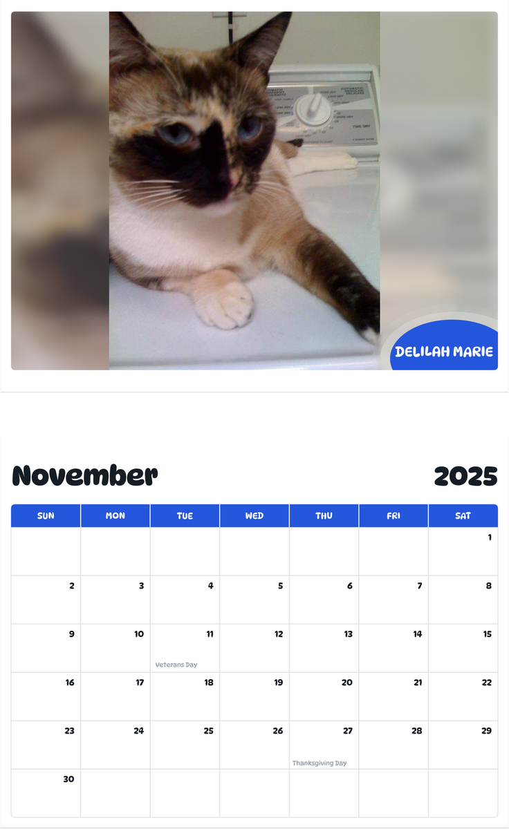July 2025 - June 2026 Delilah Marie - Pawidols Pet Calendar