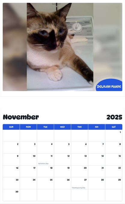 July 2025 - June 2026 Delilah Marie - Pawidols Pet Calendar