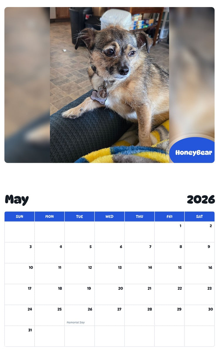 2026 - 2027 HoneyBear - Pawidols Pet Calendar