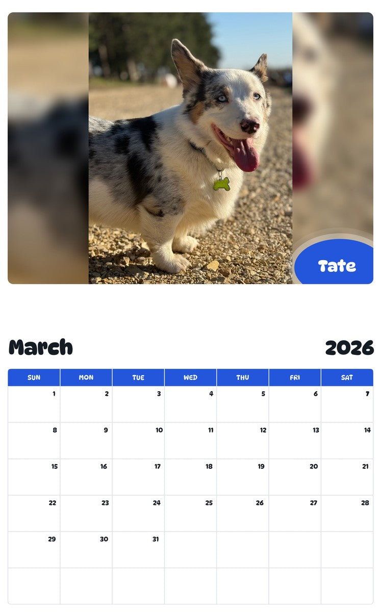 November 2025 - October 2026 Tate - Pawidols Pet Calendar