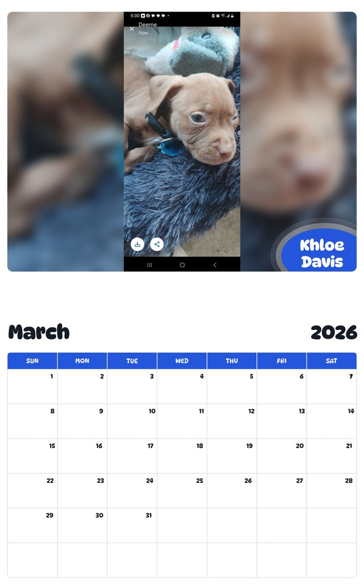 November 2025 - October 2026 Khloe Davis - Pawidols Pet Calendar
