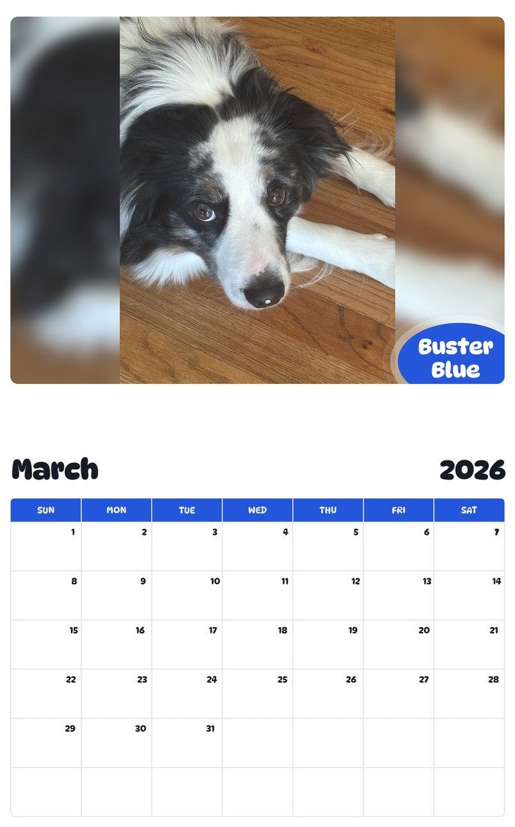 November 2025 - October 2026 Buster Blue - Pawidols Pet Calendar