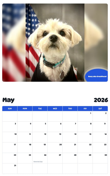 2026 - 2027 Roxy aka Crackhead - Pawidols Pet Calendar