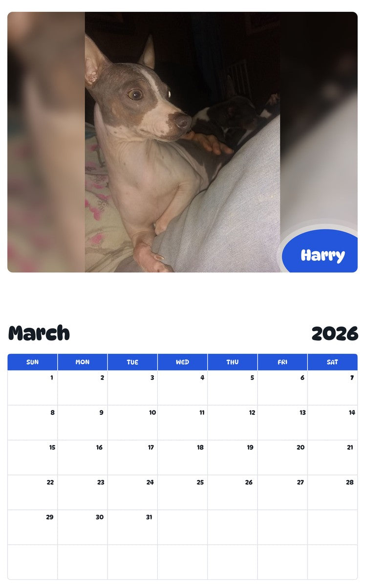 November 2025 - October 2026 Harry - Pawidols Pet Calendar