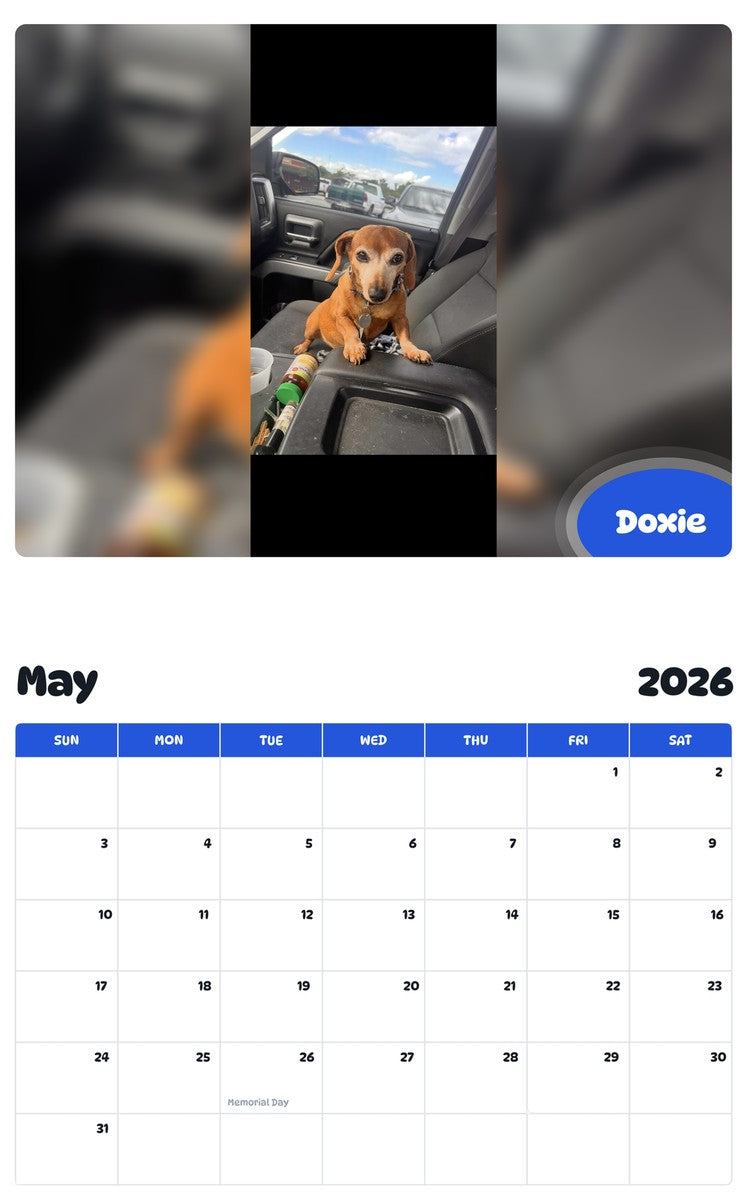 2026 - 2027 Doxie - Pawidols Pet Calendar