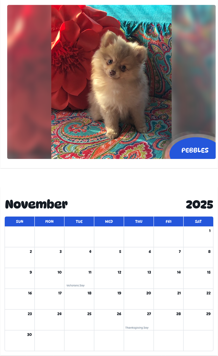 July 2025 - June 2026 Pebbles - Pawidols Pet Calendar