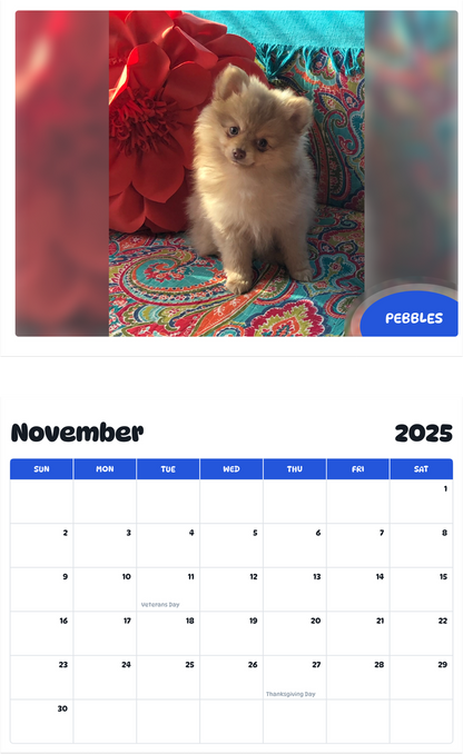 July 2025 - June 2026 Pebbles - Pawidols Pet Calendar