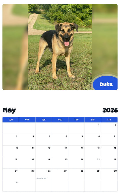 2026 - 2027 Duke - Pawidols Pet Calendar